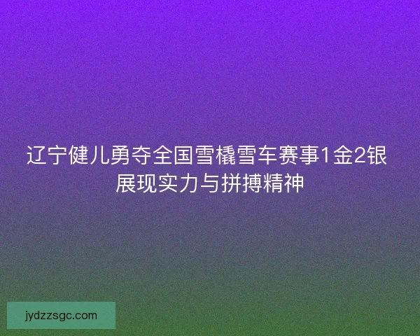 辽宁健儿勇夺全国雪橇雪车赛事1金2银 展现实力与拼搏精神