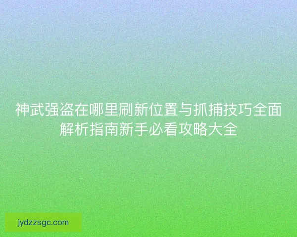 神武强盗在哪里刷新位置与抓捕技巧全面解析指南新手必看攻略大全