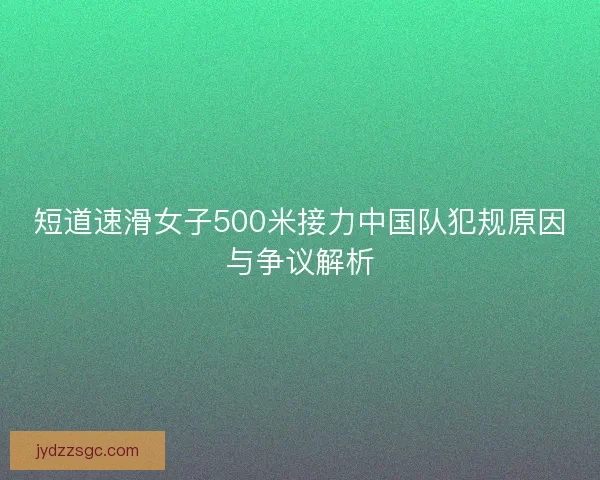 短道速滑女子500米接力中国队犯规原因与争议解析